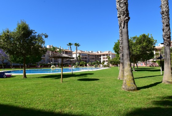 Venta - Apartamento / Piso -
Orihuela Costa - Playa Flamenca