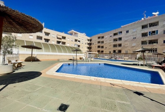 Herverkoop - Appartement / Flat -
Torrevieja - Costa Blanca