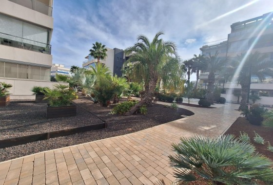 Wiederverkauf - Wohnung / Apartment -
Orihuela Costa - Los Dolses