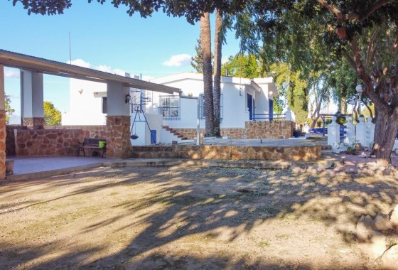 Venta - Finca / Casa de campo -
Orihuela