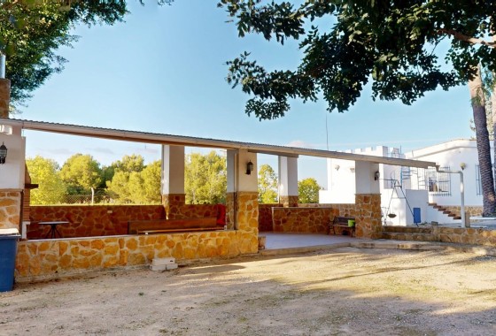 Venta - Finca / Casa de campo -
Orihuela