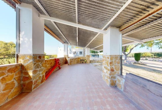 Venta - Finca / Casa de campo -
Orihuela