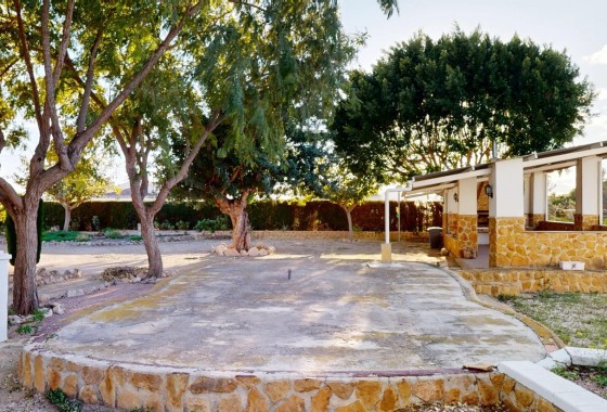 Venta - Finca / Casa de campo -
Orihuela