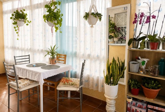 Venta - Apartamento / Piso -
Torrevieja