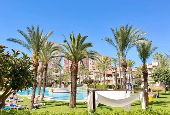 Herverkoop - Appartement / Flat -
Torrevieja - Aldea del mar