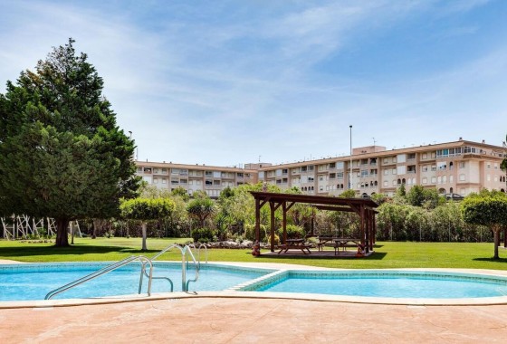Herverkoop - Appartement / Flat -
Torrevieja - Parque de las Naciones