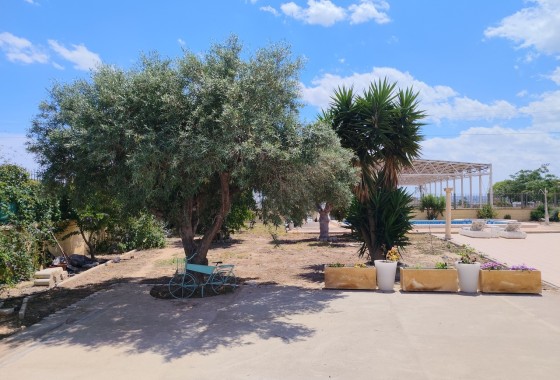 Herverkoop - Vrijstaande Villa -
Los Montesinos - Costa Blanca