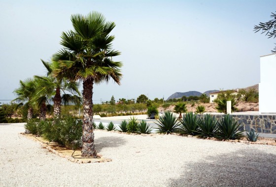 Venta - Finca / Casa de campo -
Macisvenda
