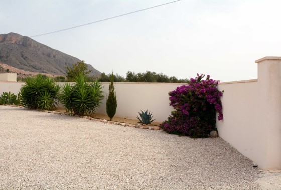 Venta - Finca / Casa de campo -
Macisvenda