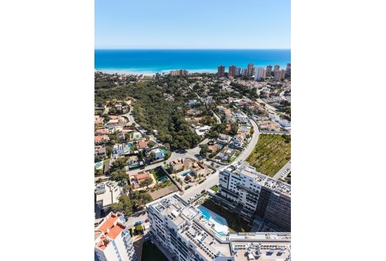 Nowa konstrukcja - Willa wolnostojąca -
Dehesa de Campoamor - Dehesa de campoamor