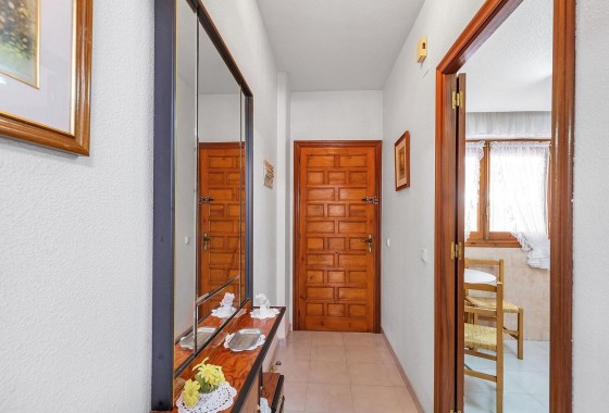 Sprzedaż - Apartament / Mieszkanie -
Torrevieja - Estacion de autobuses
