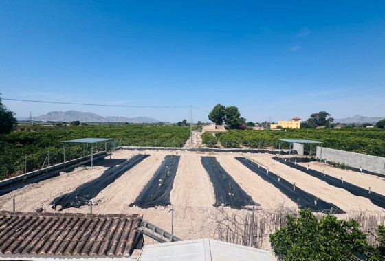 Wiederverkauf - Finca / Landhaus -
Albatera