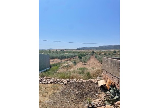 Resale - Townhouse -
Ca&ntilde;ada del Trigo - Ca&ntilde;ada del Trigo Murcia