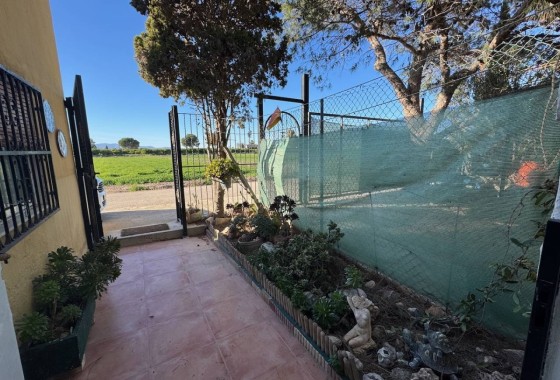 Venta - Finca / Casa de campo -
Guardamar del Segura