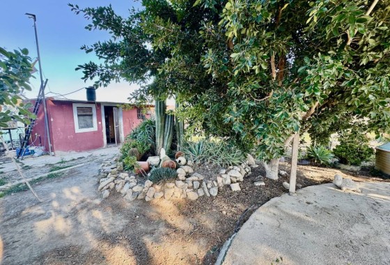 Venta - Finca / Casa de campo -
Guardamar del Segura
