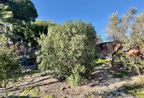 Venta - Finca / Casa de campo -
Guardamar del Segura