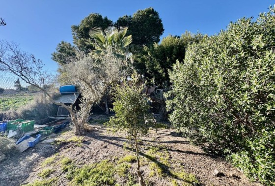 Venta - Finca / Casa de campo -
Guardamar del Segura