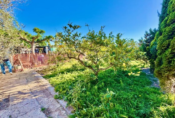 Venta - Finca / Casa de campo -
Guardamar del Segura