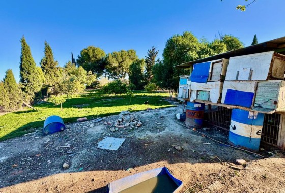Venta - Finca / Casa de campo -
Guardamar del Segura