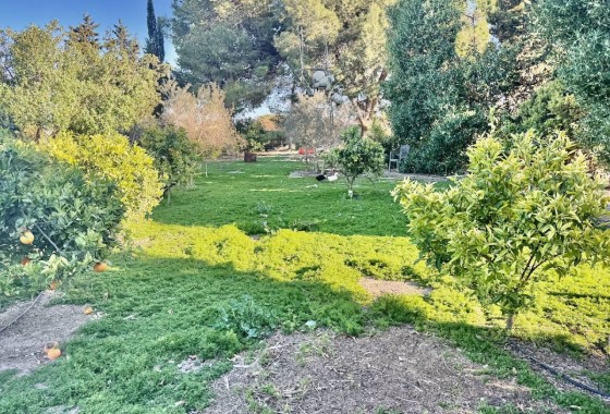Venta - Finca / Casa de campo -
Guardamar del Segura
