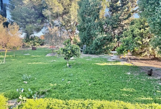 Venta - Finca / Casa de campo -
Guardamar del Segura