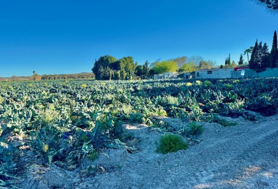 Venta - Finca / Casa de campo -
Guardamar del Segura