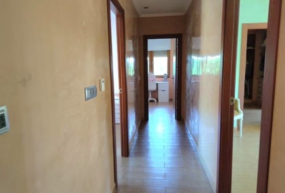Revente - Finca / Propriété rurale -
Aspe