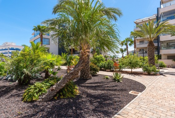 Venta - Apartamento / Piso -
Orihuela Costa - Los Dolses