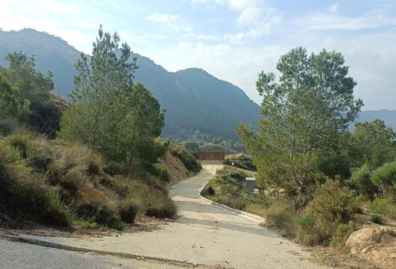 Venta - Finca / Casa de campo -
Gea y Truyols