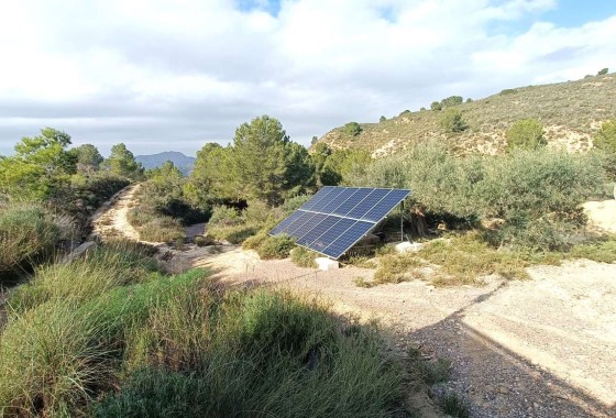 Venta - Finca / Casa de campo -
Gea y Truyols