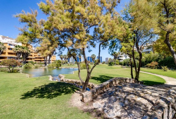 Venta - Apartamento / Piso -
Torrevieja - Punta Prima