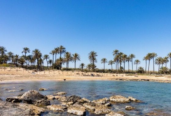Herverkoop - Appartement / Flat -
Torrevieja - Playa de los Naufragos