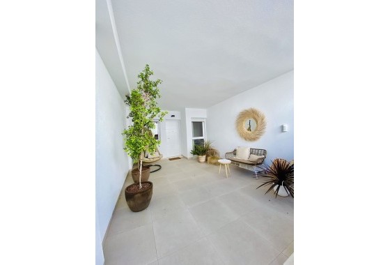 Nouvelle construction - Appartement -
Pilar de la Horadada