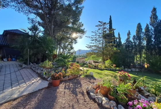 Revente - Finca / Propriété rurale -
Sax - SAX