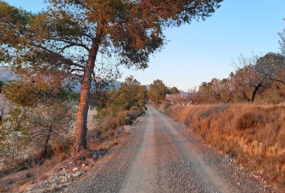 Revente - Finca / Propriété rurale -
Sax - SAX