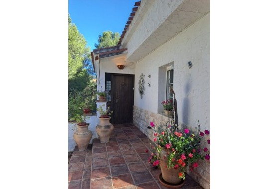 Revente - Finca / Propriété rurale -
Sax - SAX