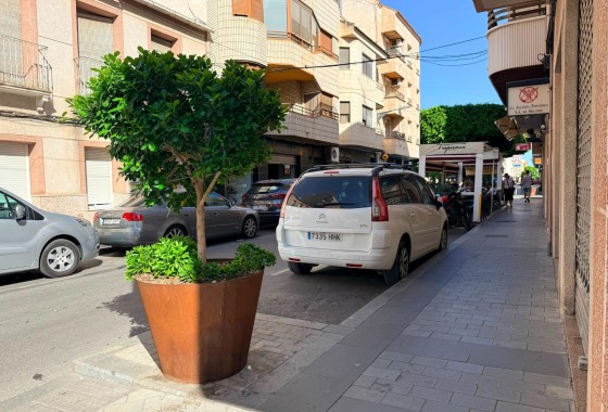 Obra Nueva - Comercial -
Almoradí