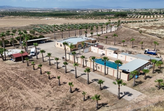 Resale - Detached Villa -
Fuente Alamo - Inland