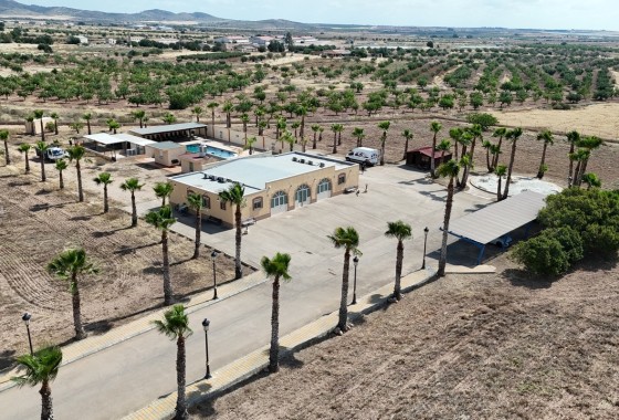 Resale - Detached Villa -
Fuente Alamo - Inland