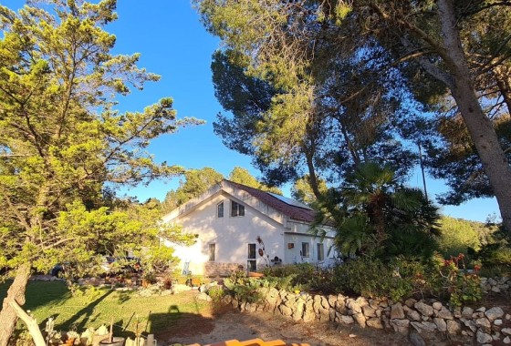 Revente - Finca / Propriété rurale -
Sax - SAX