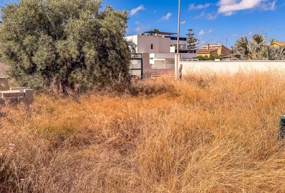 Venta - Parcela / Terreno -
Santiago de la ribera - zona san blas