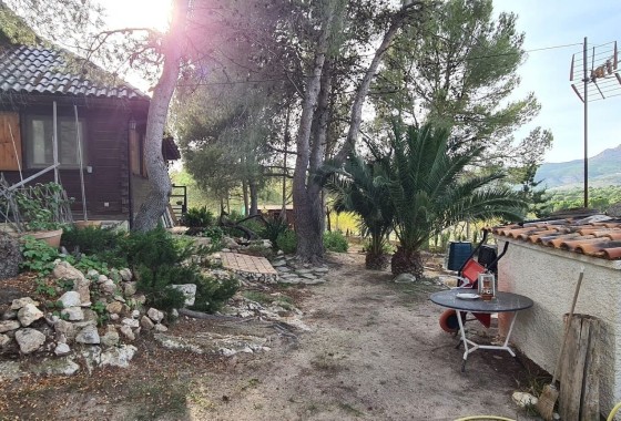 Revente - Finca / Propriété rurale -
Sax - SAX