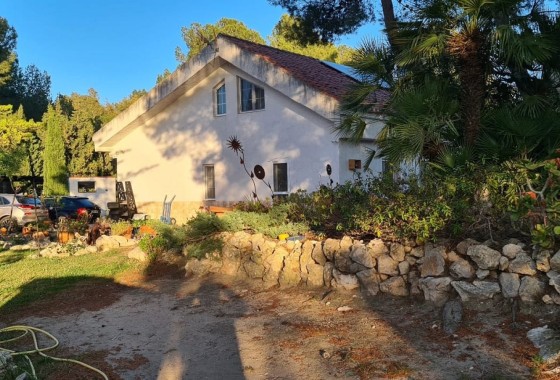 Revente - Finca / Propriété rurale -
Sax - SAX