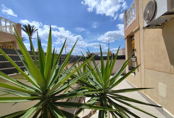 Herverkoop - Appartement / Flat -
Torrevieja