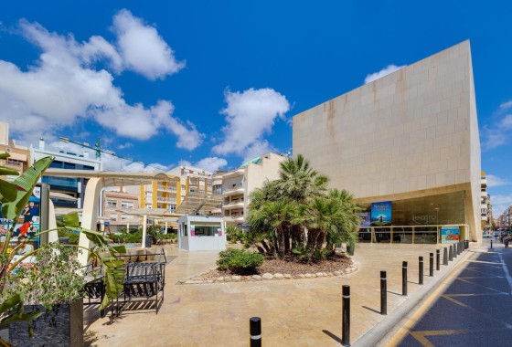 Sprzedaż - Apartament / Mieszkanie -
Torrevieja
