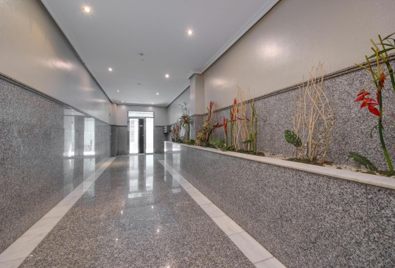 Sprzedaż - Apartament / Mieszkanie -
Torrevieja