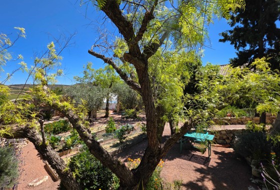 Venta - Finca / Casa de campo -
Torre Del Rico