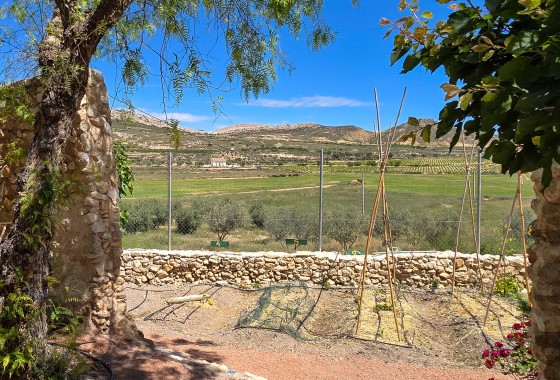 Venta - Finca / Casa de campo -
Torre Del Rico