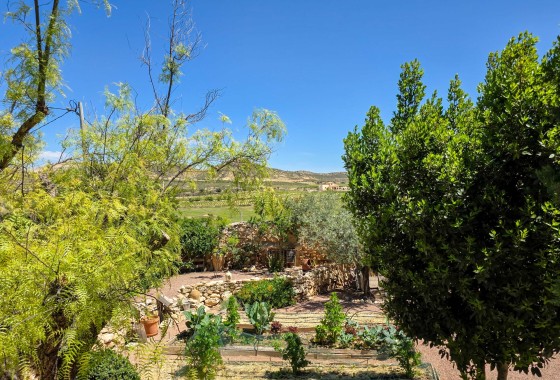 Venta - Finca / Casa de campo -
Torre Del Rico