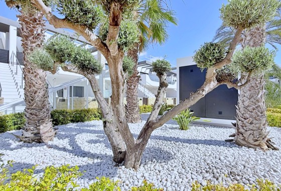 Sprzedaż - Apartament / Mieszkanie -
Orihuela Costa - Punta Prima